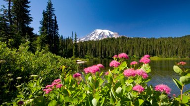 Mount Rainier National Park, WA - desktop wallpaper
