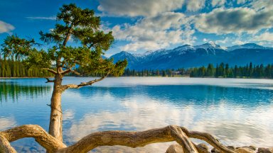 Beauvert Lake, Jasper National Park, Canada - desktop wallpaper