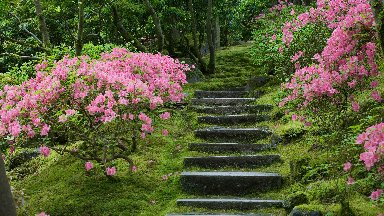 Japanese Garden, Portland, Oregon - desktop wallpaper