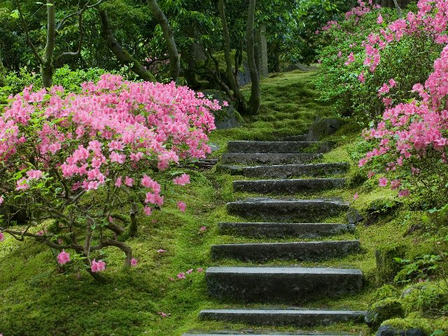 Japanese Garden, Portland, Oregon - desktop wallpaper
