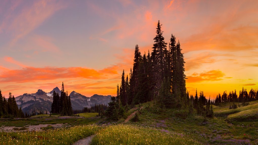 Mazama Ridge, Mt. Rainier National Park, WA - desktop wallpaper