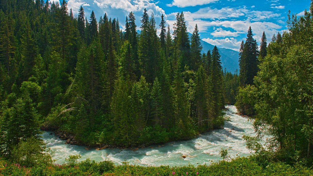 Robson River, Mount Robson Provincial Park, Canada - desktop wallpaper