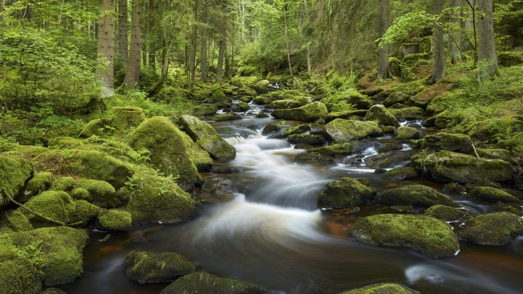 Hollfall Waterfall, Harz Mountains, Germany - desktop wallpaper