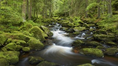 Hollfall Waterfall, Harz Mountains, Germany - desktop wallpaper