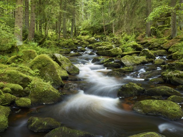 640x480.jpg