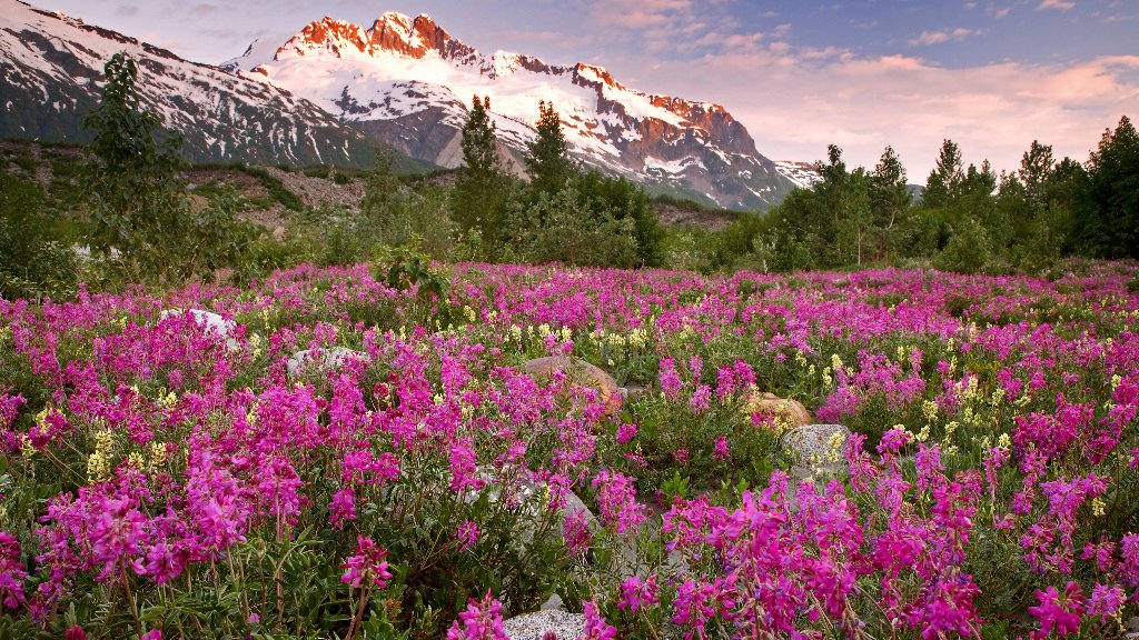 Alsek River Valley, Alaska - desktop wallpaper