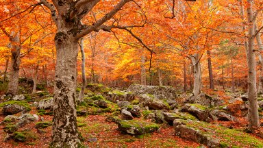 Moncayo Natural Park, Spain - desktop wallpaper