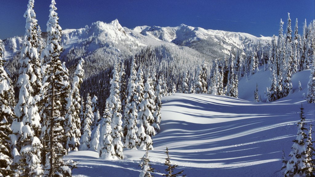Steeple Rock, Olympic National Park, WA - desktop wallpaper