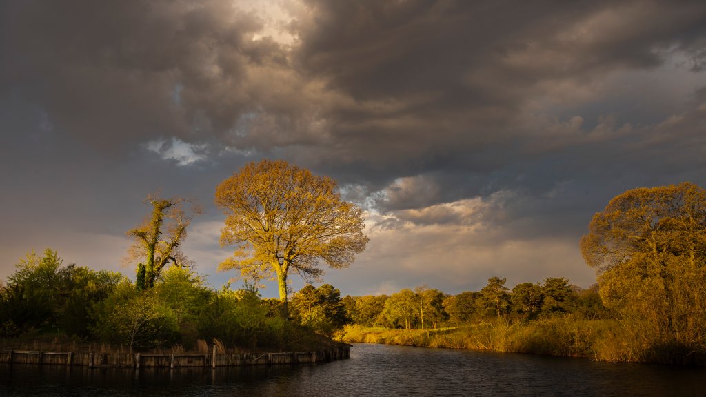 Pinelands National Preserve, New Jersey - desktop wallpaper