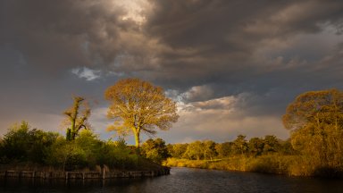 Pinelands National Preserve, New Jersey - desktop wallpaper