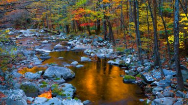 Little River, Smoky Mountains National Park, TN - desktop wallpaper