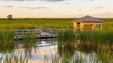Wildlife Viewing Blind, Oak Hammock Marsh, Manitoba, Canada - desktop wallpaper