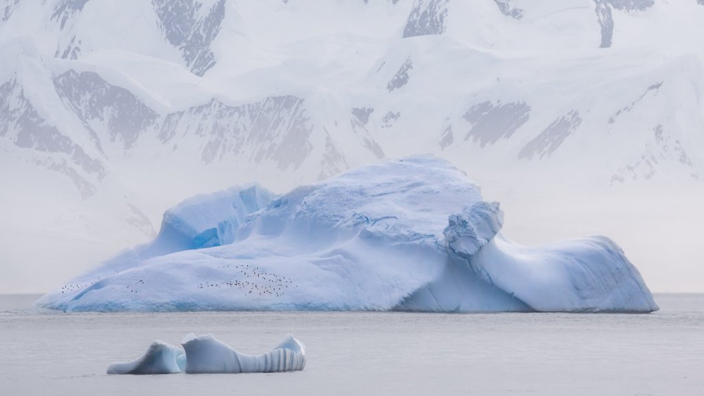 Icebergs, Gerlache Strait, Antarctica - desktop wallpaper