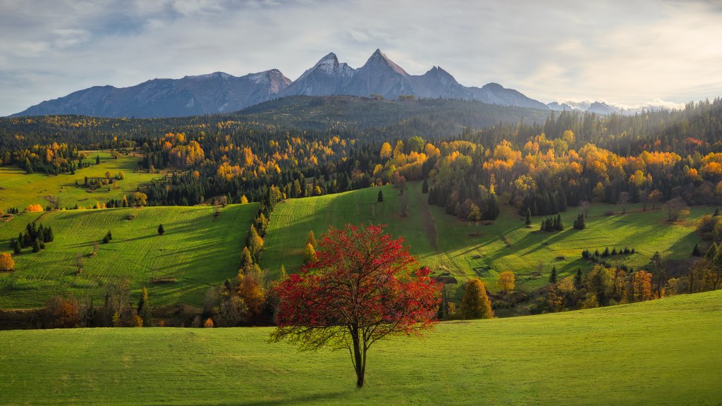 Tatra National Park, Poland - desktop wallpaper