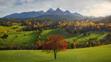 Tatra National Park, Poland - desktop wallpaper