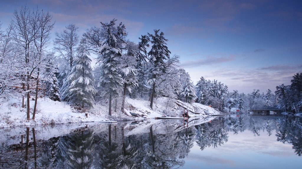 Oxtonge River, Algonquin Provincial Park, Canada - desktop wallpaper