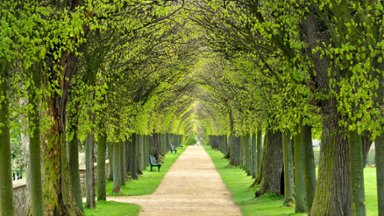 Hundisburg Castle Park, Haldensleben, Germany - desktop wallpaper