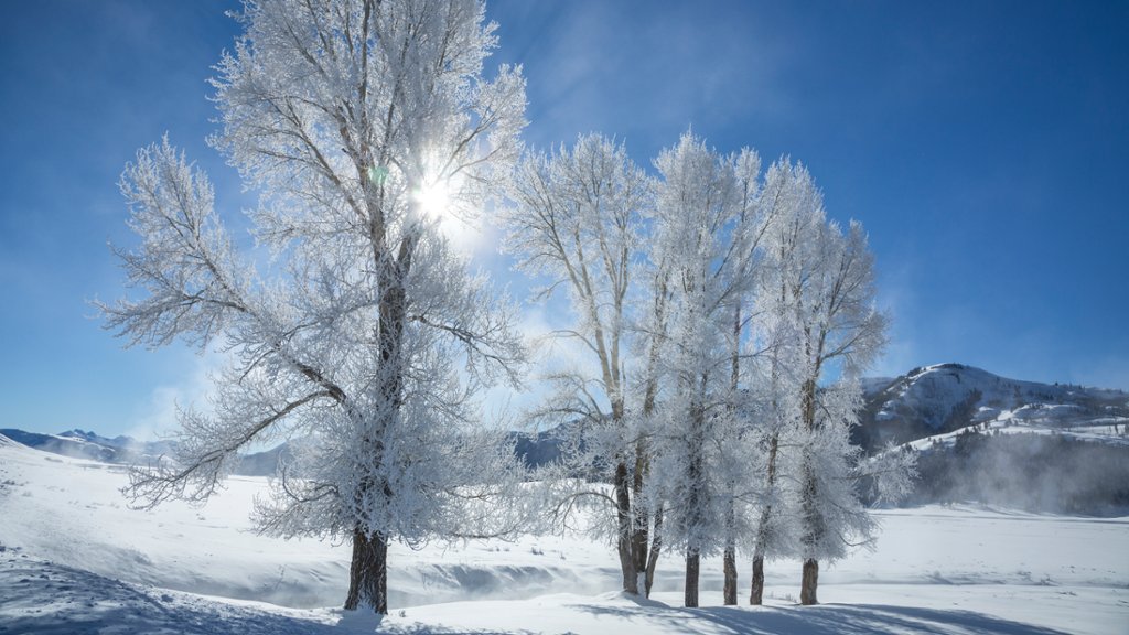 Lamar Valley, Yellowstone National Park, WY - desktop wallpaper