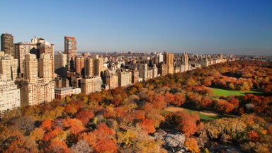Aerial View of Central Park in Autumn, New York - desktop wallpaper