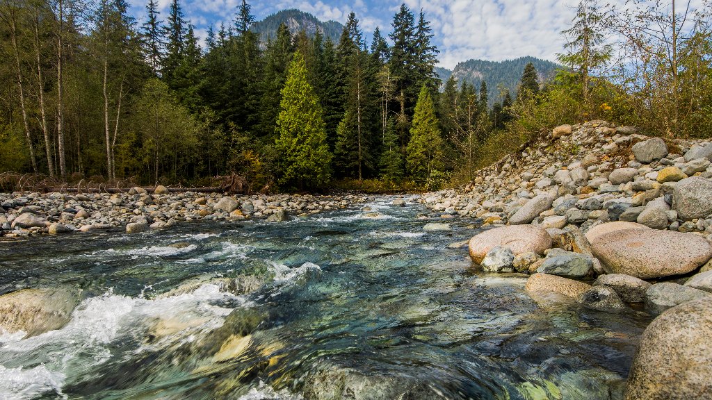Mountain Stream, Lynn Canyon, BC Canada - desktop wallpaper