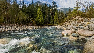 Mountain Stream, Lynn Canyon, BC Canada - desktop wallpaper