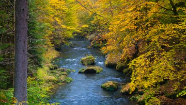 Kamenice River, Bohemian Switzerland National Park, Czechia - desktop wallpaper