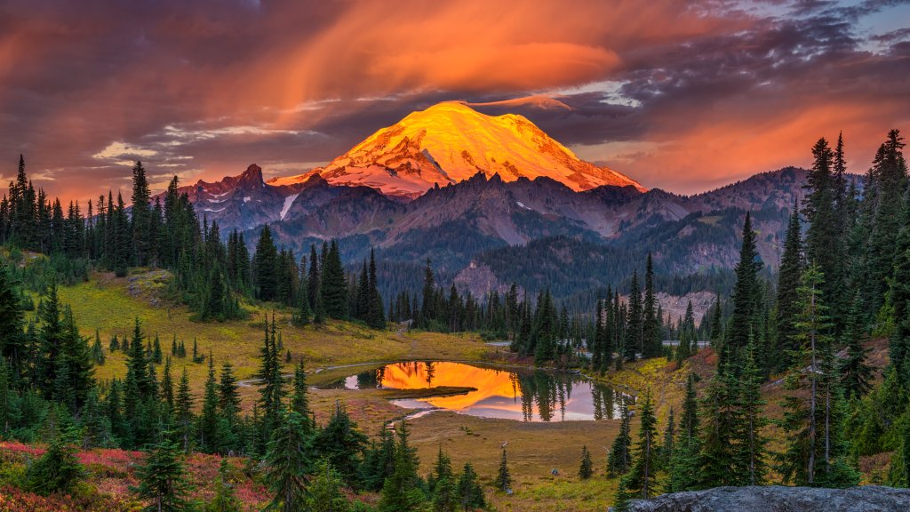 Mt. Rainier National Park, WA - desktop wallpaper