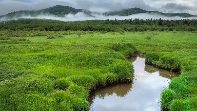 Canaan Valley State Park, West Virginia - desktop wallpaper