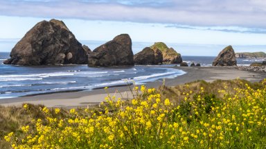 Pistol River Beach, Oregon - desktop wallpaper