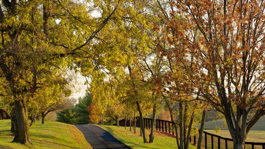 Bluegrass Region, Lexington, Kentucky - desktop wallpaper