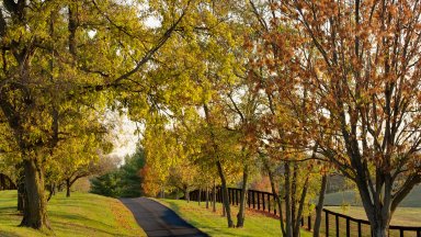 Bluegrass Region, Lexington, Kentucky - desktop wallpaper