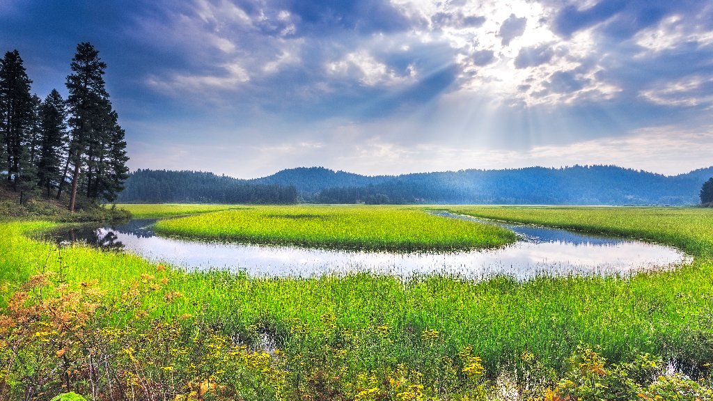 St Maries River, Idaho - desktop wallpaper