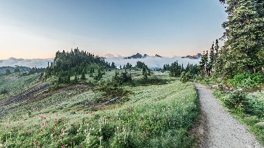 Skyline Trail at Dawn, Mt Rainier NP, WA - desktop wallpaper