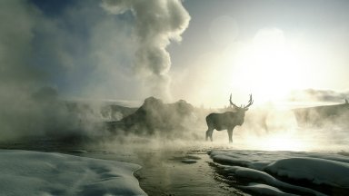 Castle Geyser, Yellowstone National Park, WY - desktop wallpaper