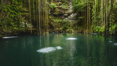Cenote, Yucatan, Mexico - desktop wallpaper