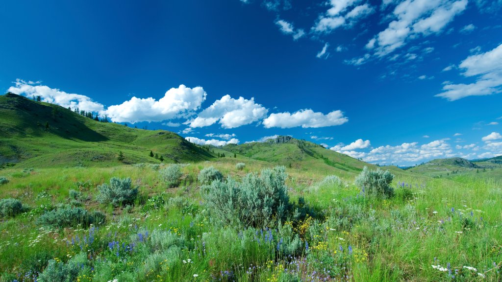 South Okanagan Grasslands, BC, Canada - desktop wallpaper