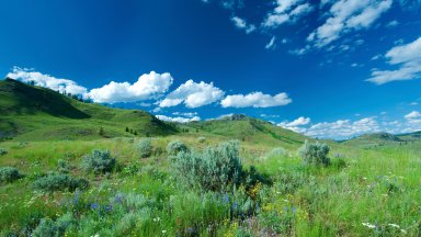 South Okanagan Grasslands, BC, Canada - desktop wallpaper