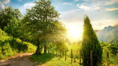 Canyon near Zabljak, Montenegro - desktop wallpaper