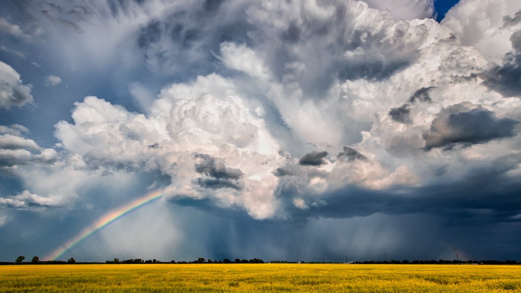 Rainbow, Wheat Field, Manitoba, Canada - desktop wallpaper