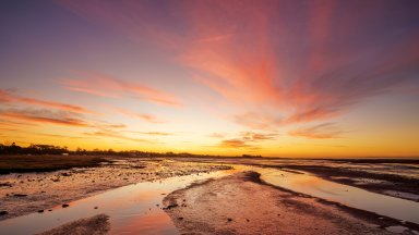 Aberlady Nature Reserve, East Lothian, Scotland - desktop wallpaper