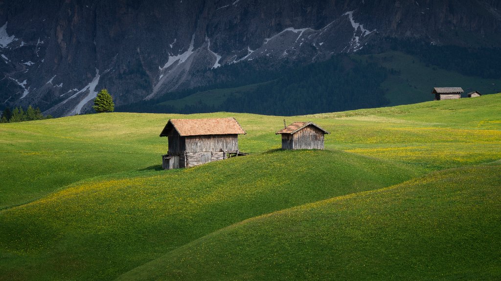 Alpine Meadows, Sasso Lungo and Sasso Piatto Mountains, Italy - desktop wallpaper