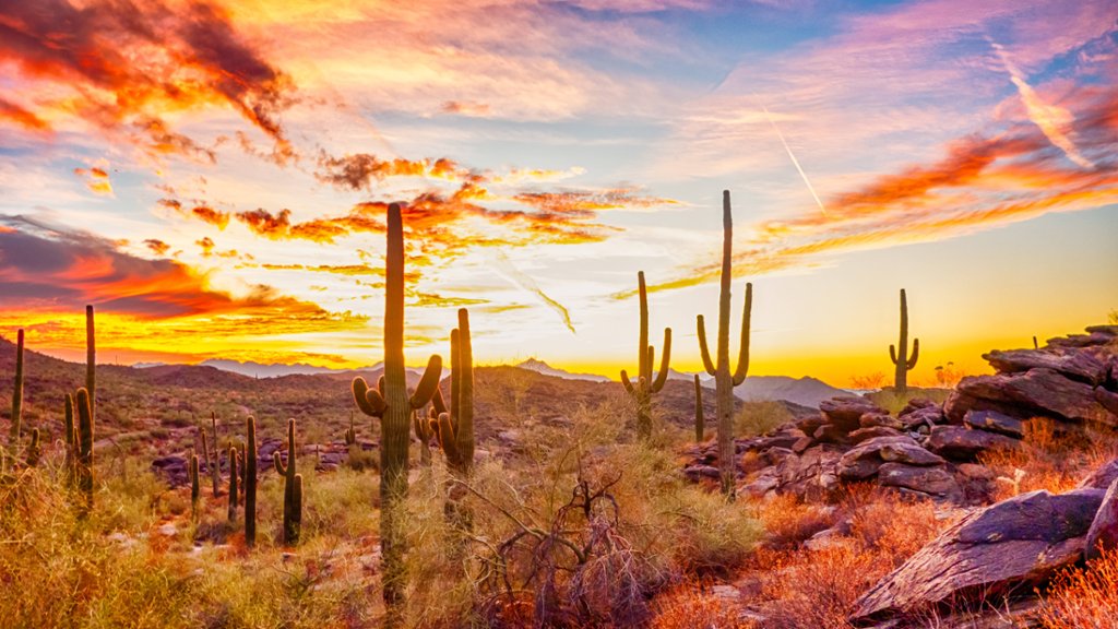 Sonoran Desert, Arizona - desktop wallpaper