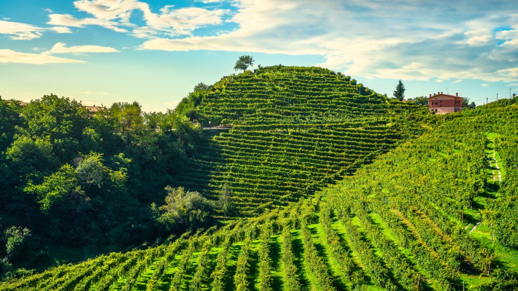 Unesco Site, Prosecco Hills, Valdobbiadene, Italy - desktop wallpaper