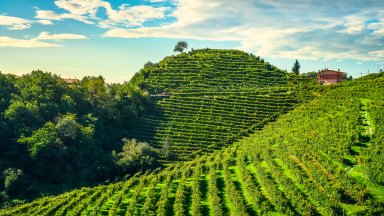 Unesco Site, Prosecco Hills, Valdobbiadene, Italy - desktop wallpaper