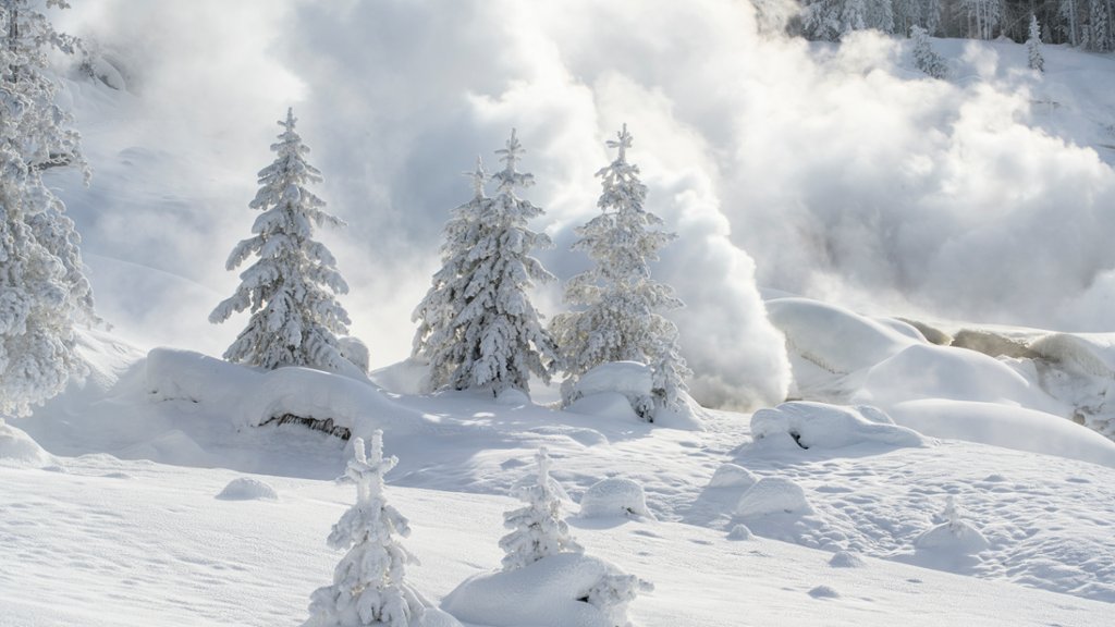 Norris Geyser Basin, Yellowstone National Park, Wyoming - desktop wallpaper