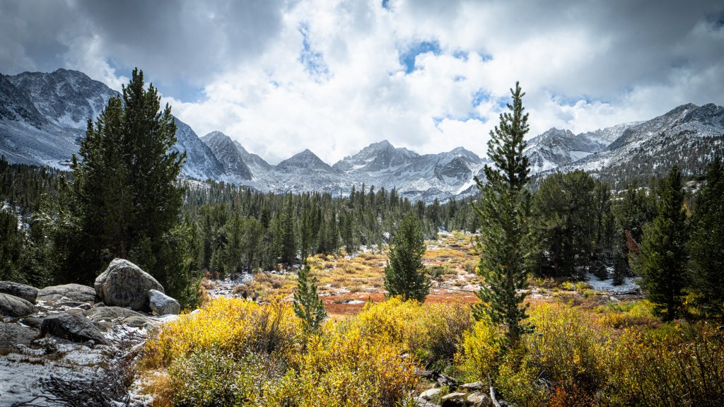 Meadow, Eastern Sierra, CA - desktop wallpaper