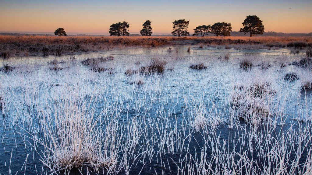 Drents-Friese Wold National Park, Netherlands - desktop wallpaper