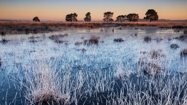 Drents-Friese Wold National Park, Netherlands - desktop wallpaper