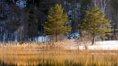 Lake Schwansee, Allgau Alps, Bavaria, Germany - desktop wallpaper