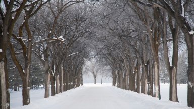 Assiniboine Park, Winnipeg, Canada - desktop wallpaper